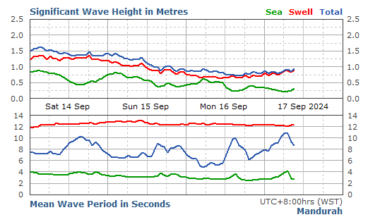 Mandurah Live Swell Report