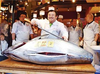 Would you pay $870k for a Tuna? This guy did! - Fishing News