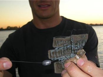 Getting into the zone: bean to spoon sinkers explain - Fishing Articles