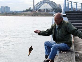 Fishing West of the Bridge: A Warning to Sydney Anglers - Fishing News