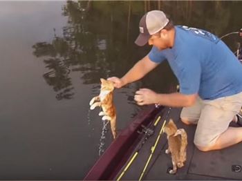 Cat Fishing in Alabama - Fishing News