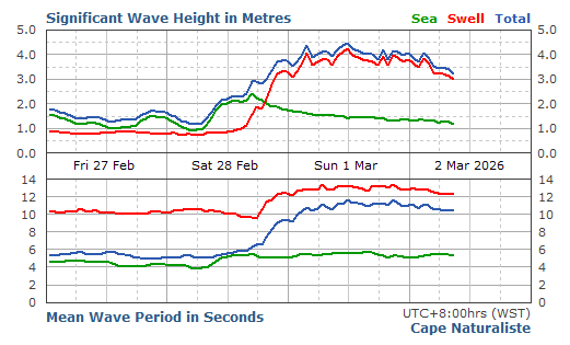 Cape Naturalist Live Swell Report