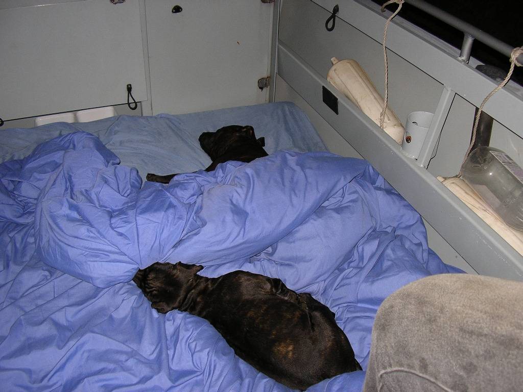 Tuff Day out Fishing