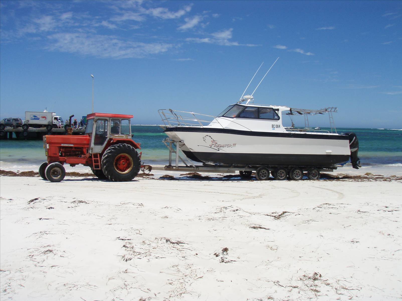 recovered cat - 6 Jan