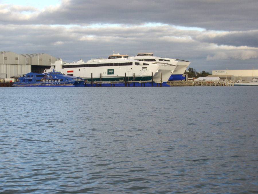 A couple of Big Cats