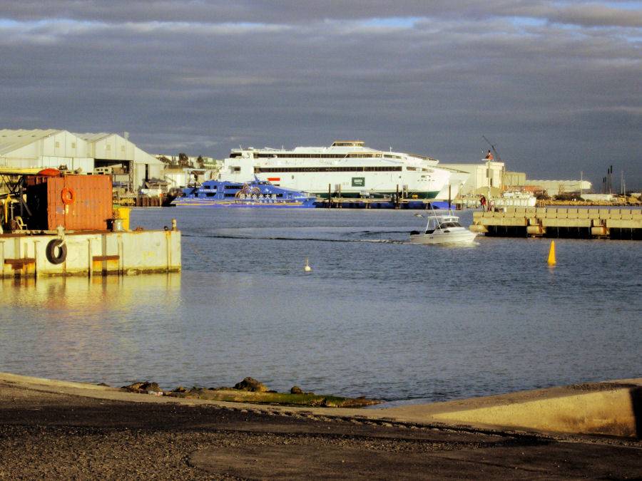 Catz at Woodman Point