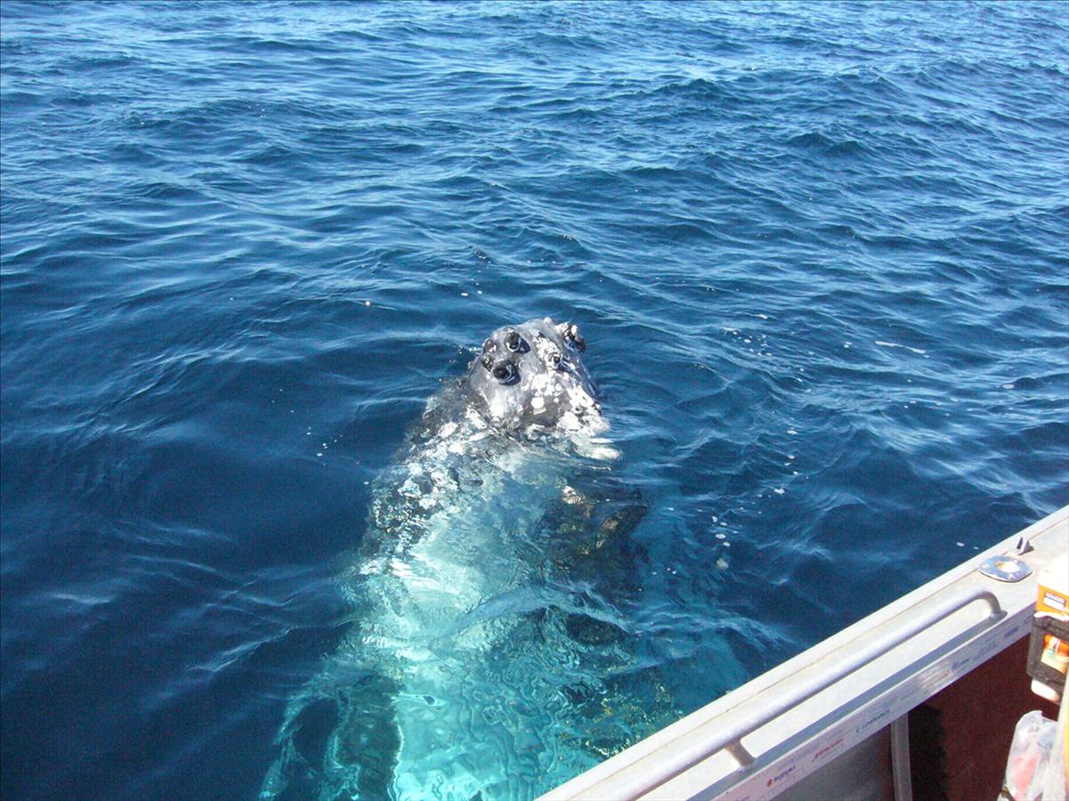 Simply Unbelieveable