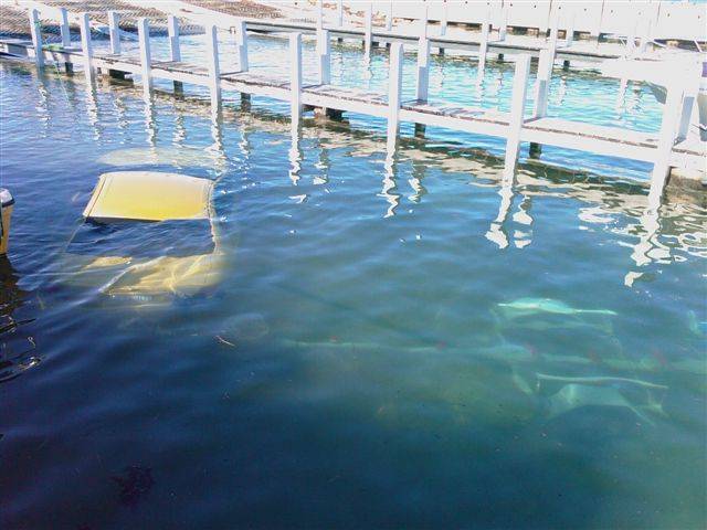 Should Have Taken the Dive Gear