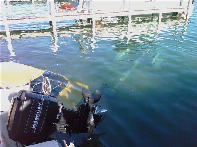 Should Have Taken the Dive Gear