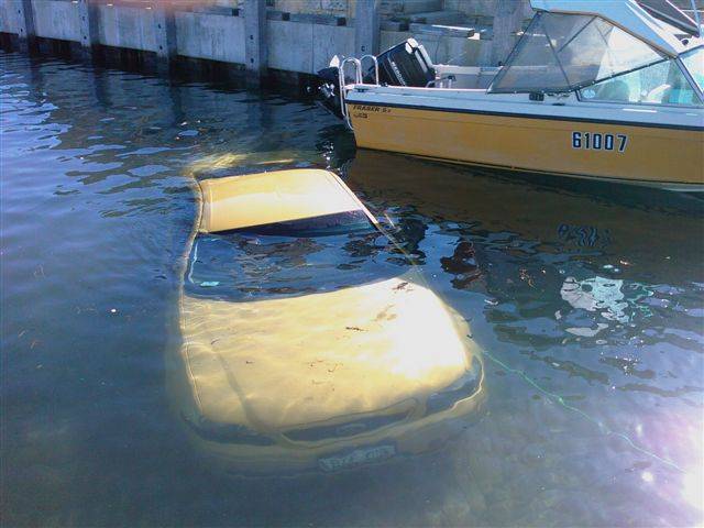 Should Have Taken the Dive Gear