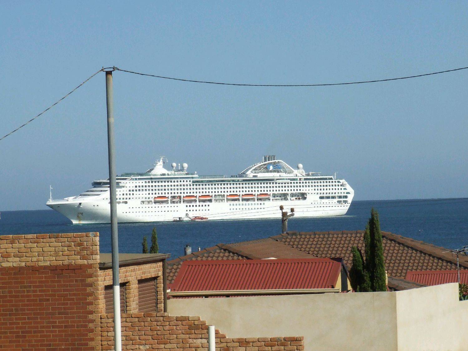 This things been turning up in the front yard