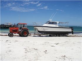 recovered cat - 6 Jan