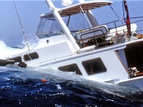 Sad Beginning (and End) to Our Dive Trip