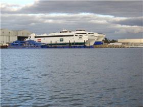 A couple of Big Cats