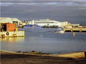 Catz at Woodman Point