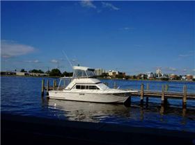 Took the boat to The Swan Bewery on Saturday.