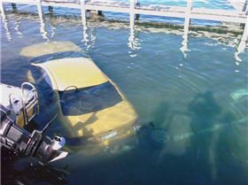 Should Have Taken the Dive Gear