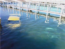 Should Have Taken the Dive Gear