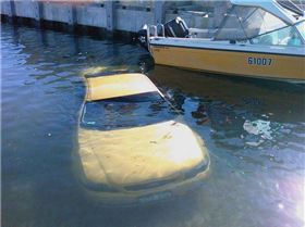 Should Have Taken the Dive Gear