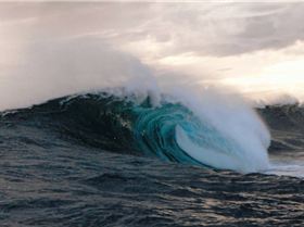 milken... scret spot