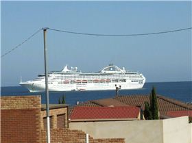 This things been turning up in the front yard