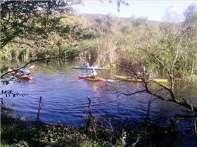 "Oviachic Park" Presa Alvaro Obregón