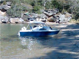 my haines hunter 445c