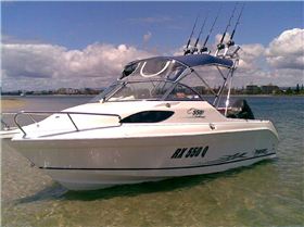 pursuit of happiness