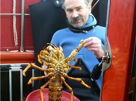 catching crays in Tassie from Leearcki