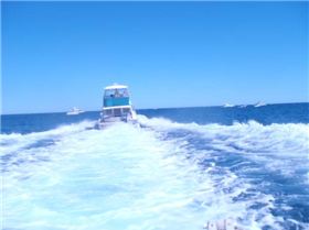 Rotto March 2012 207