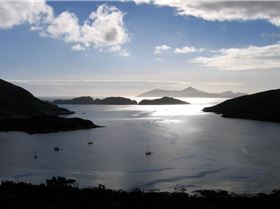 Port Davey Bramble Cove