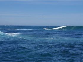 Little island hillaries