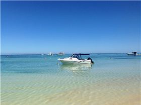 Early Morning Garden Island