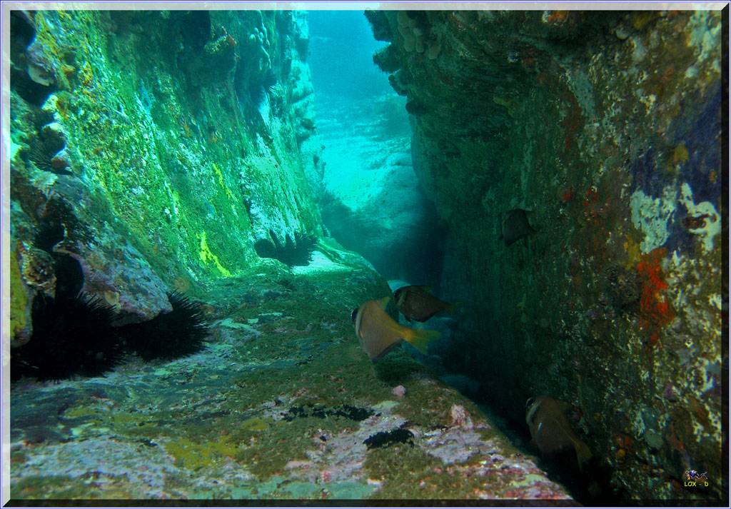 Scenery at Little Bay