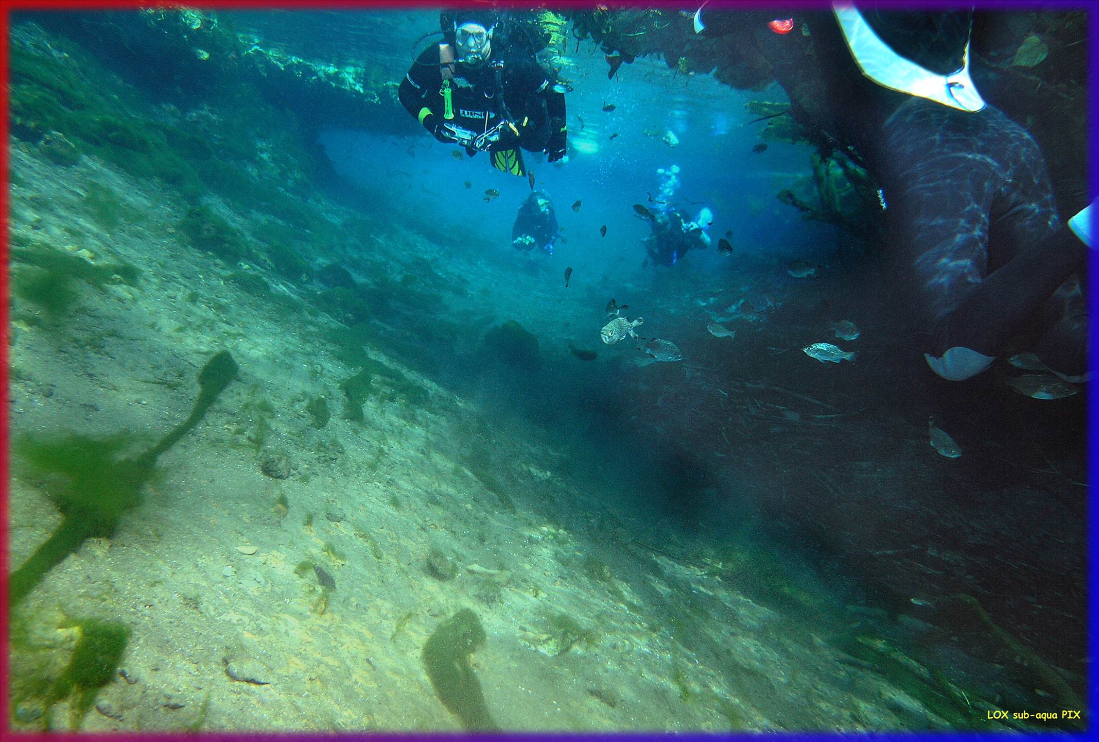LoxPix Sub-Aqua Image