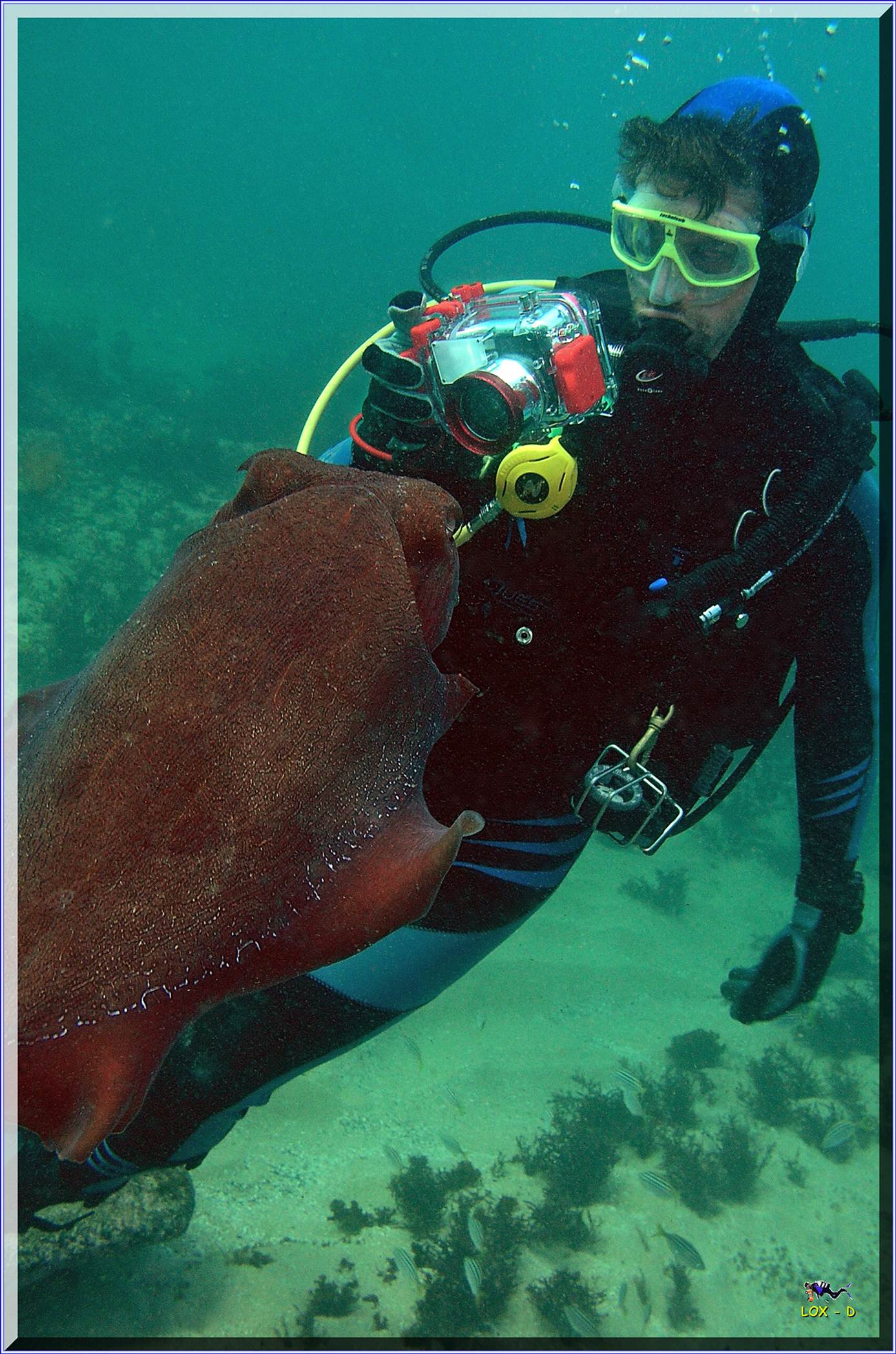 LoxPix Sub-Aqua Image