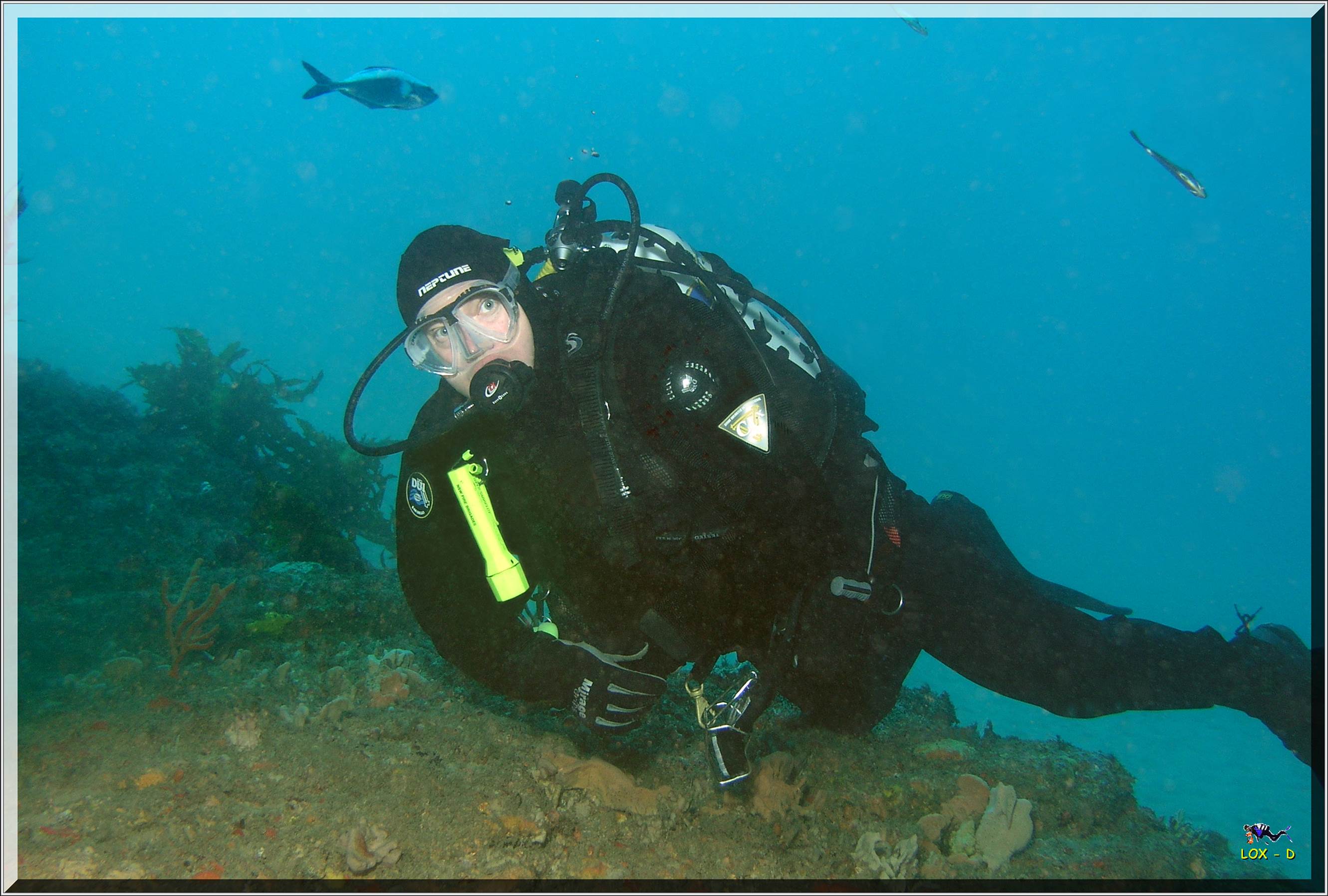 LoxPix Sub-Aqua Image