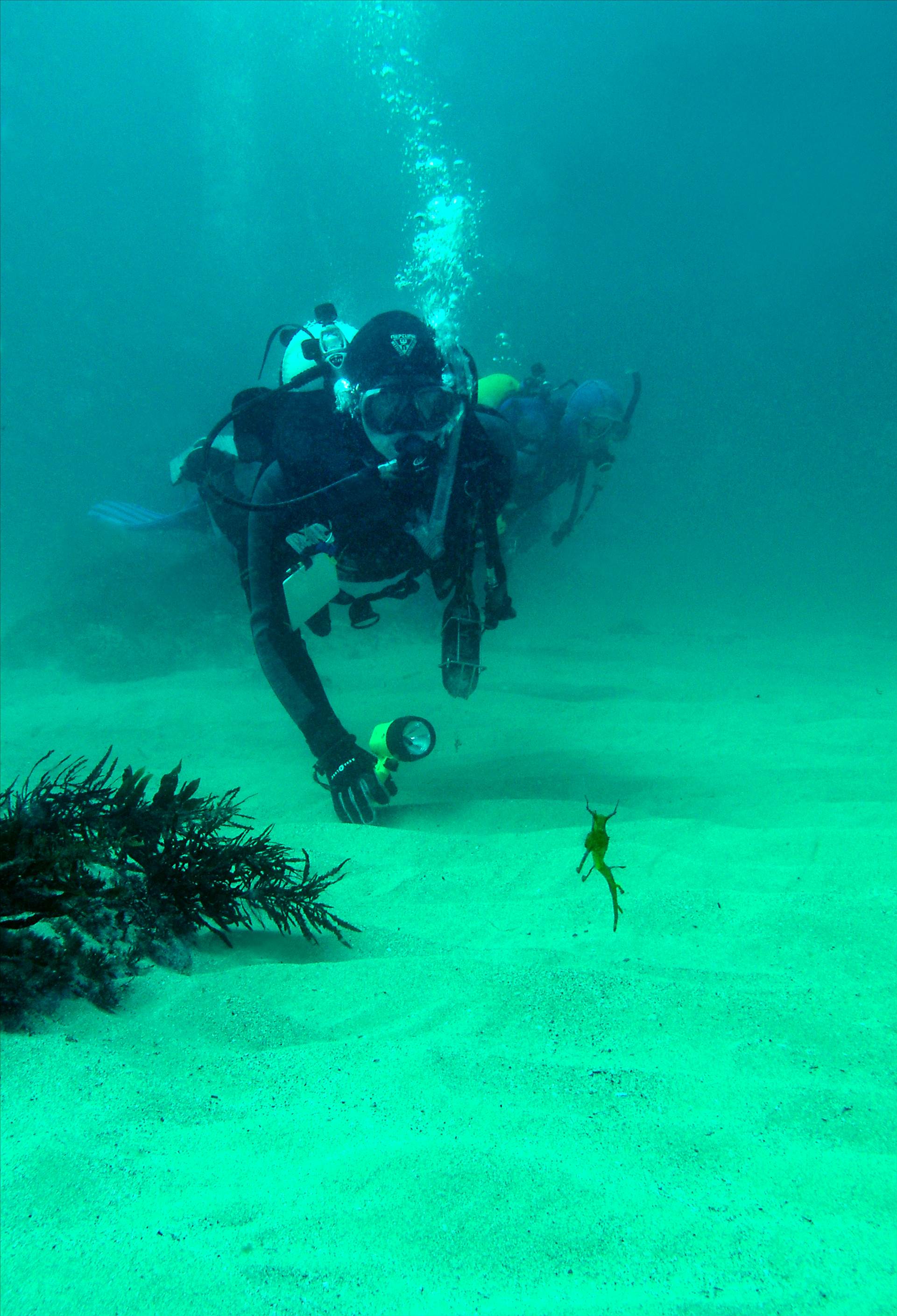 LoxPix Sub-Aqua Image