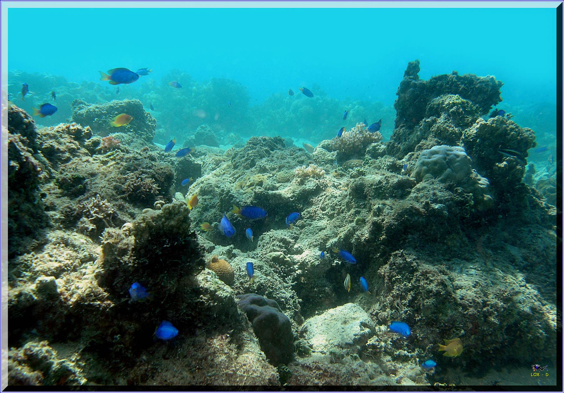 LoxPix Sub-Aqua Image