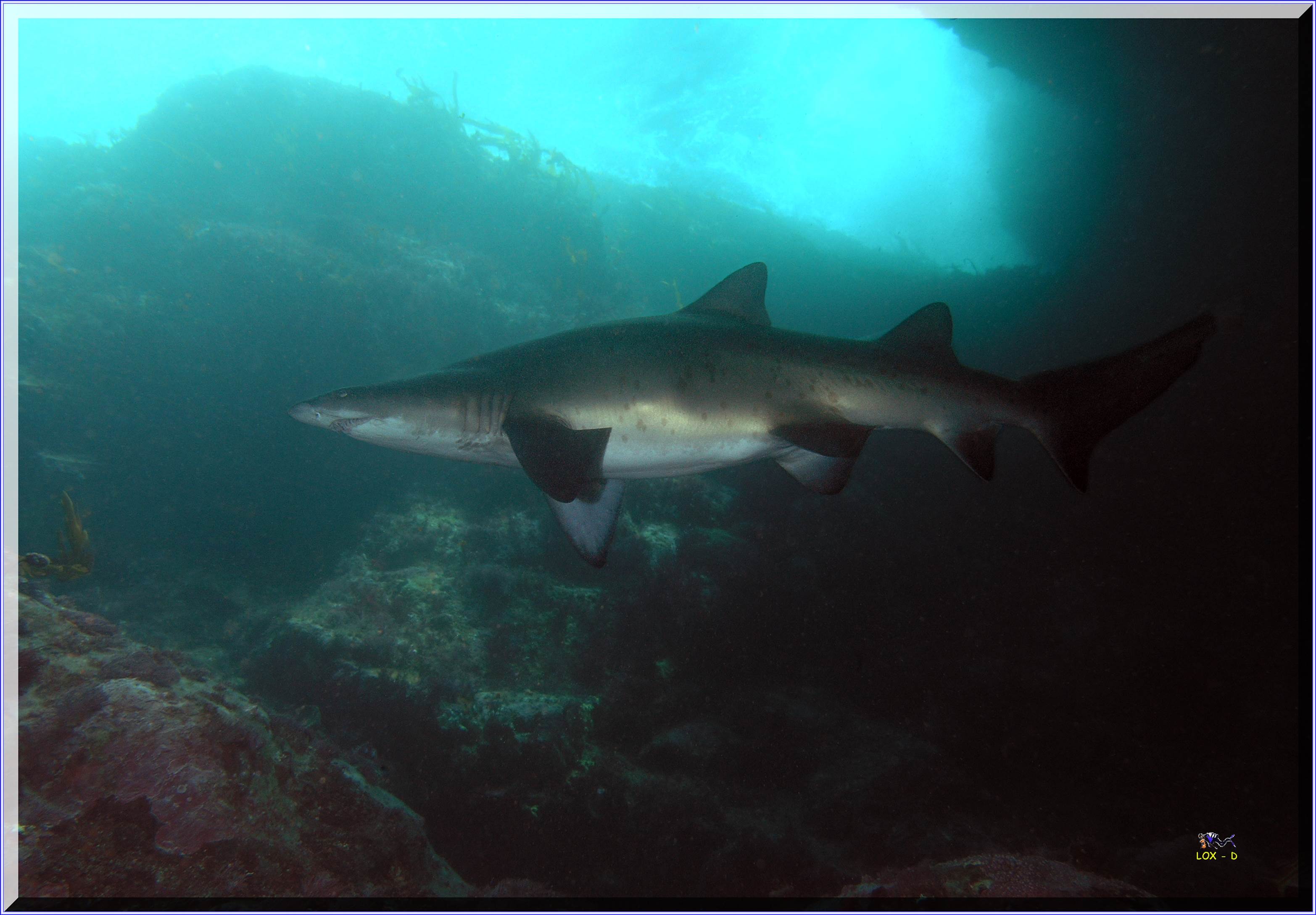 LoxPix Sub-Aqua Image