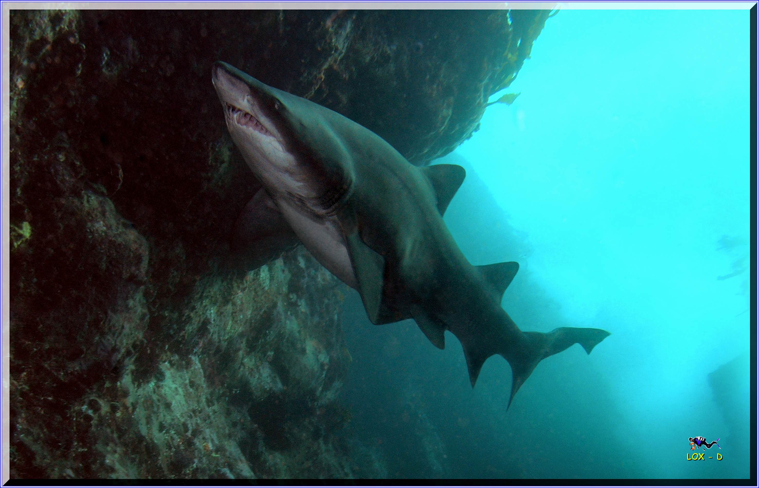 LoxPix Sub-Aqua Image