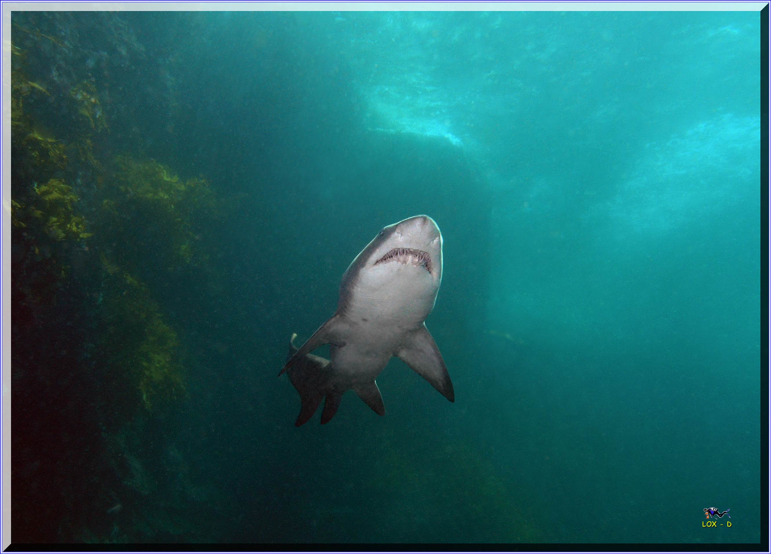LoxPix Sub-Aqua Image