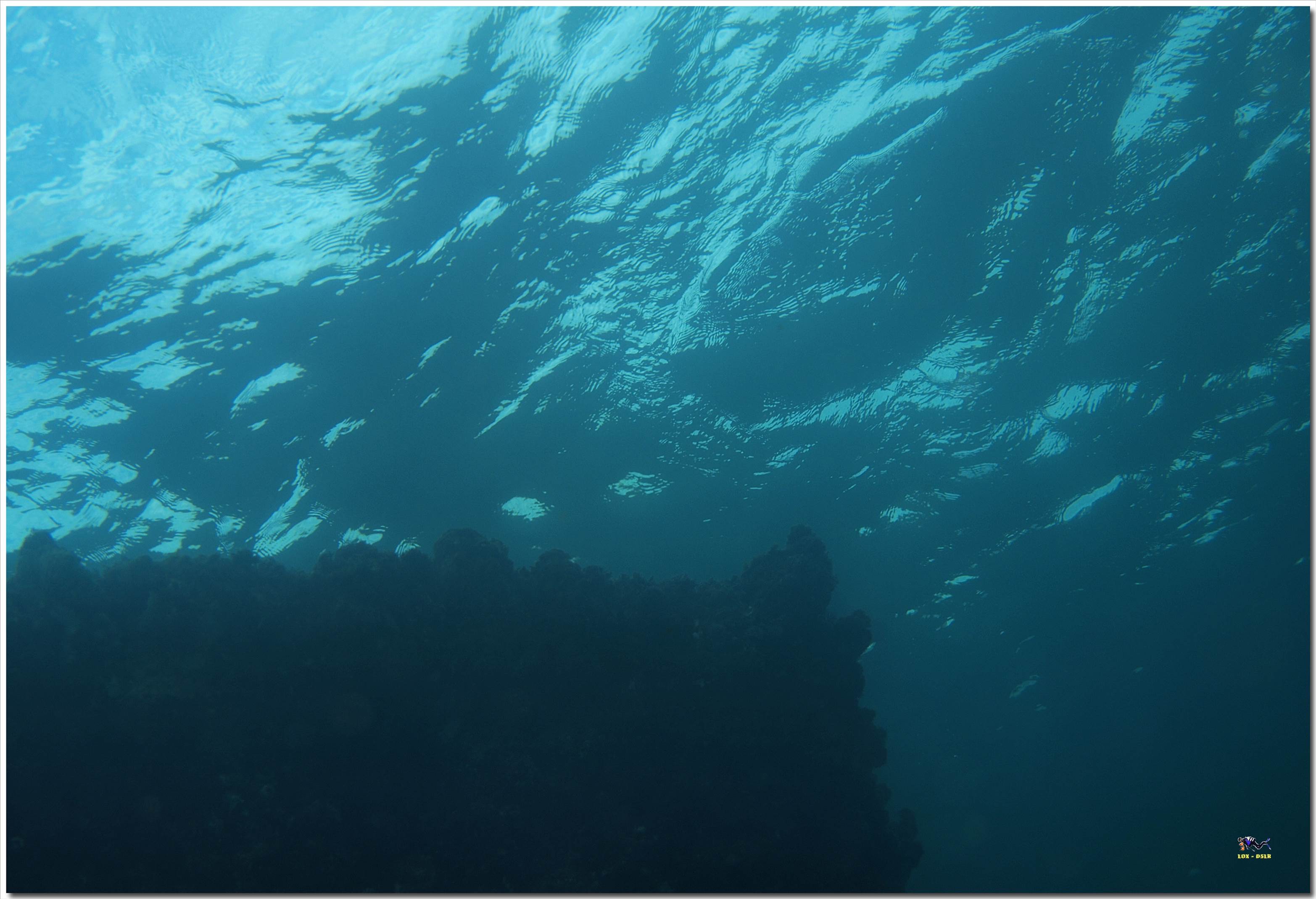 LoxPix Sub-Aqua Image