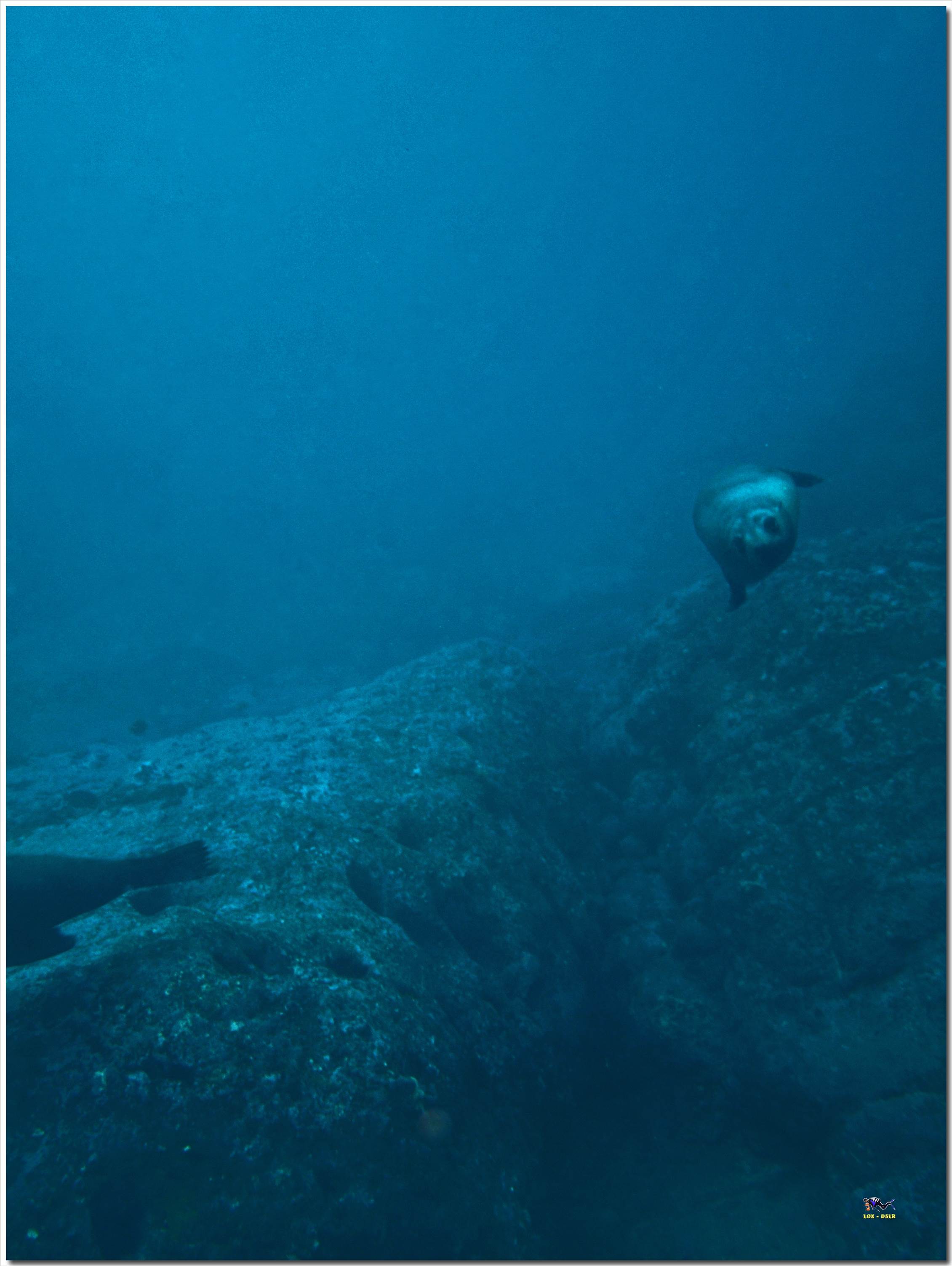 LoxPix Sub-Aqua Image