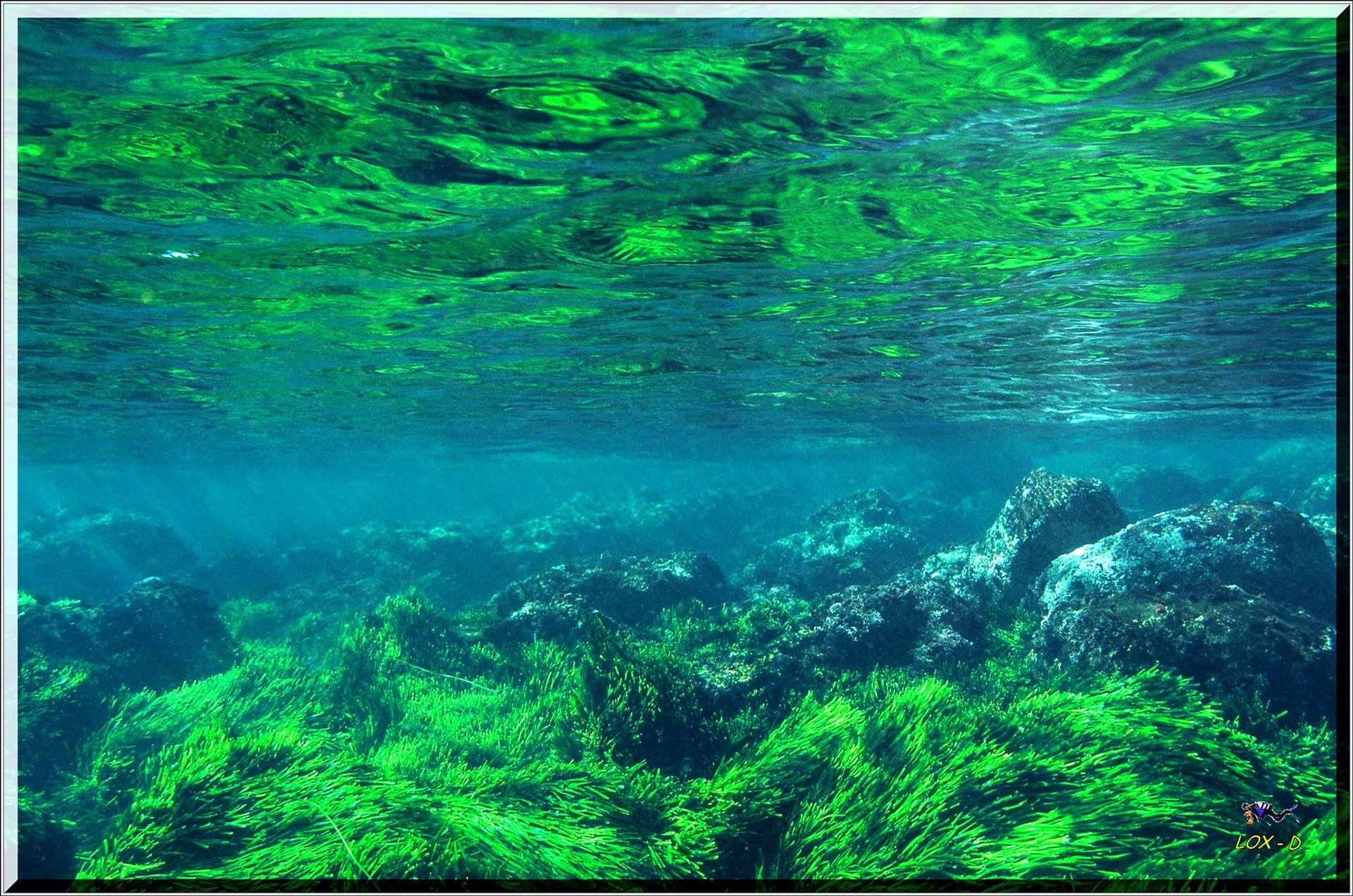 LoxPix Sub-Aqua Image