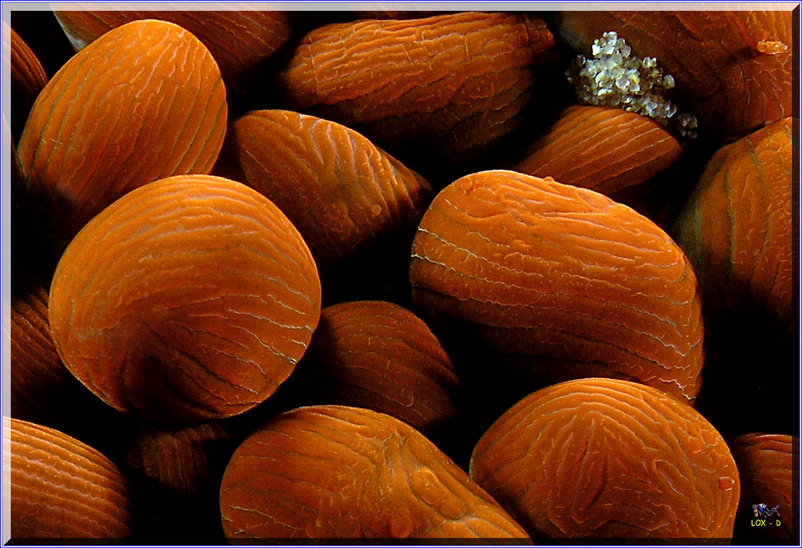 LoxPix Sub-Aqua Image