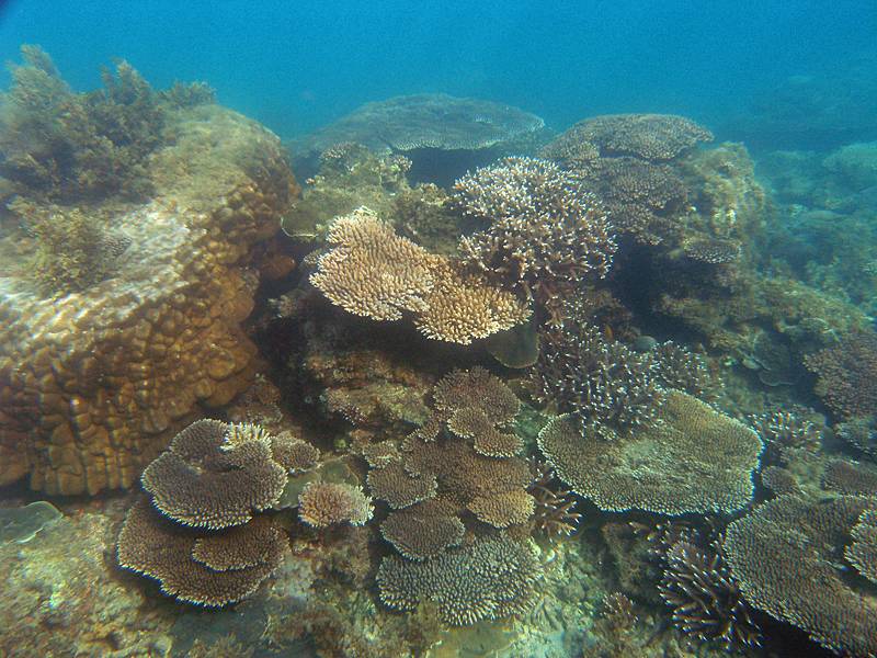 Damage from the big wet