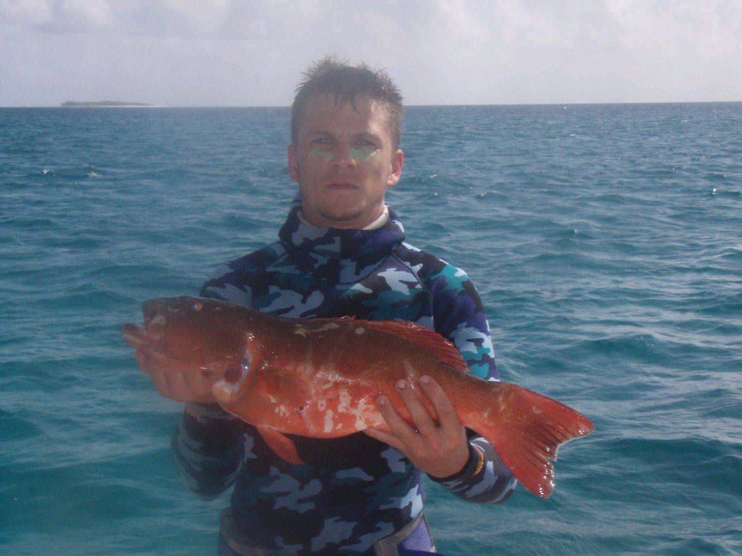 Coral Trout