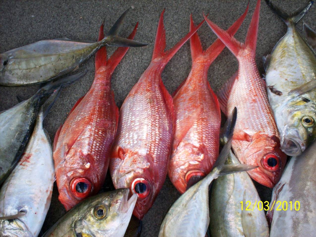 divings thriving,fishings,wishing....