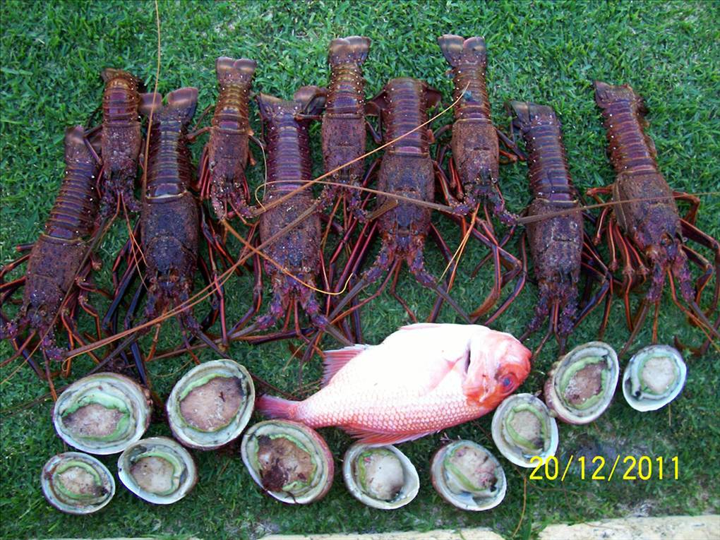 Another nice day at Hamlin bay